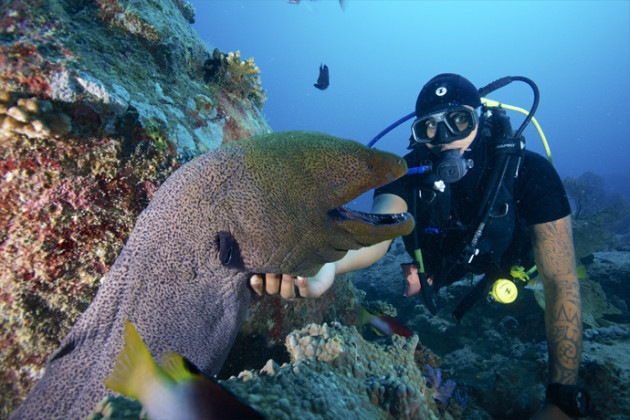 diving mauritius ile-maurice.fr