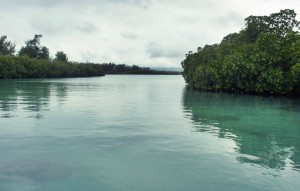 canal mangrove ile maurice